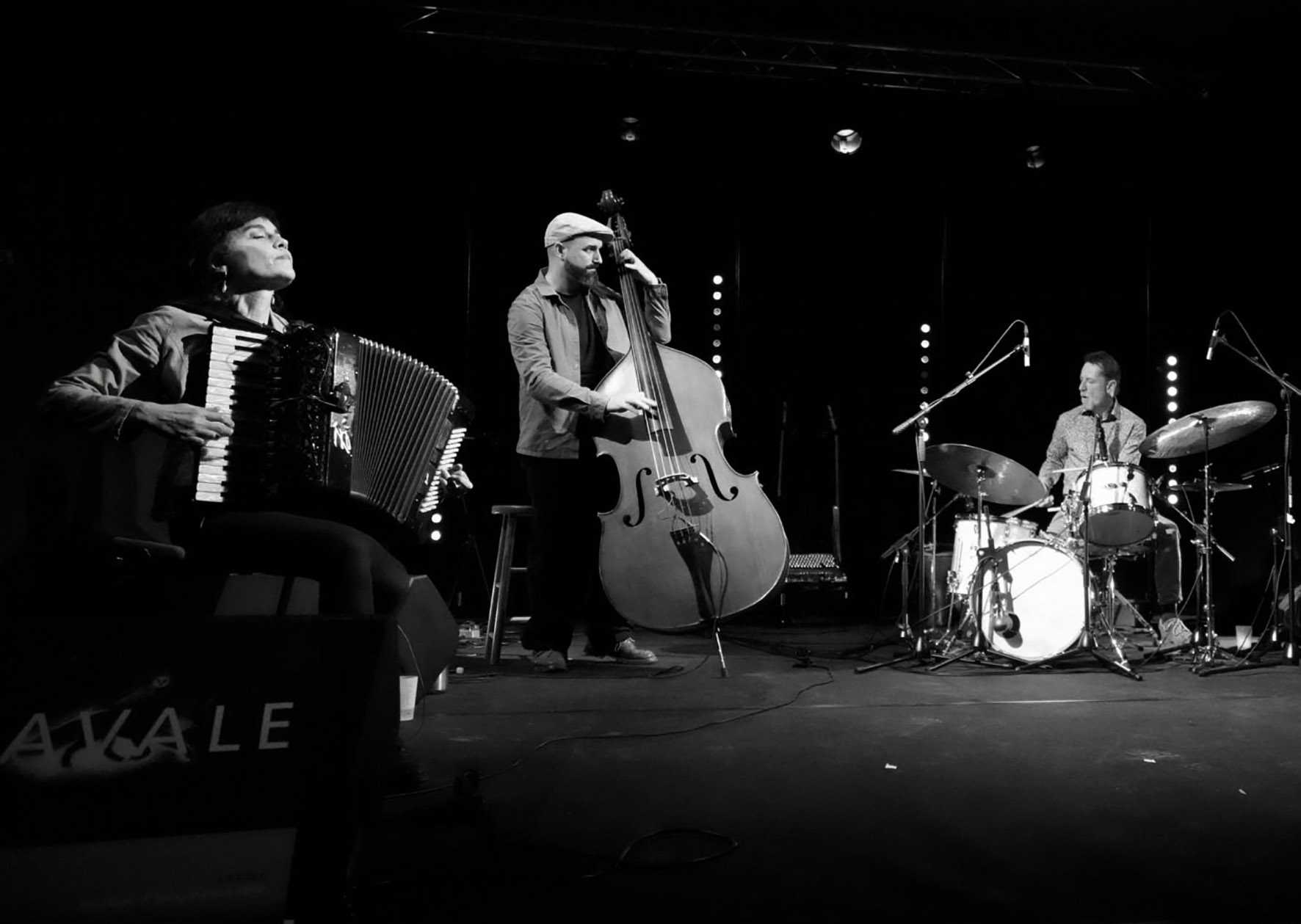 Cavale - Trio de Jazz Contemporain et Musique Acoustique